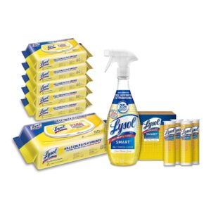 Lysol Disinfectant Multi-Surface Antibacterial Handi-Pack Cleaning Wipes, Lemon and Lime Blossom, 480 Count (Pack of 6) and Smart Multipurpose Disinfecting Spray Cleaner Kit, Citrus Breez, 5pc Set